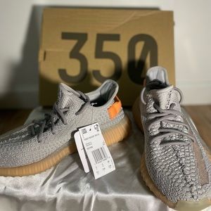Yeezy boost 350 V2 True Form